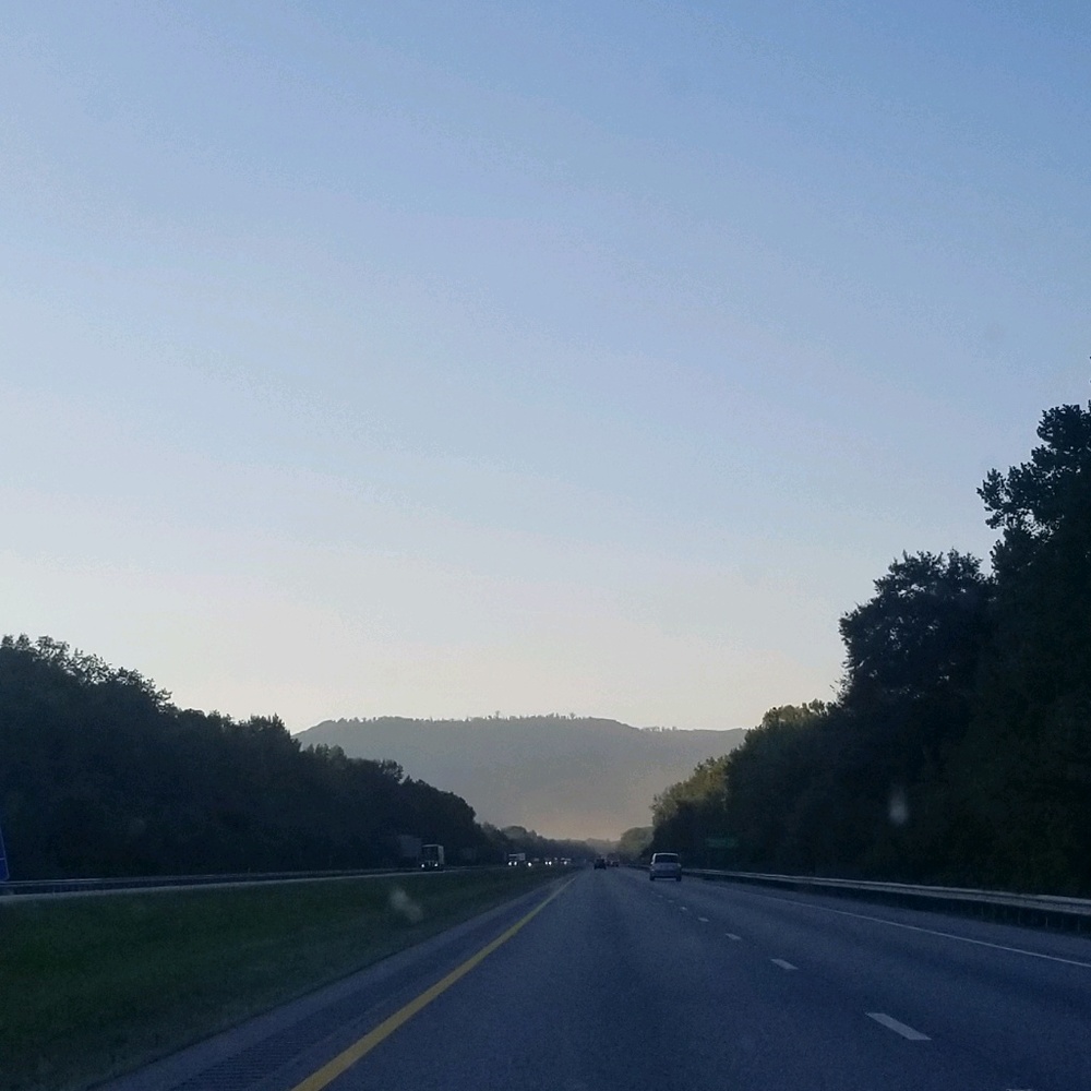 Meet your Posher, Eva